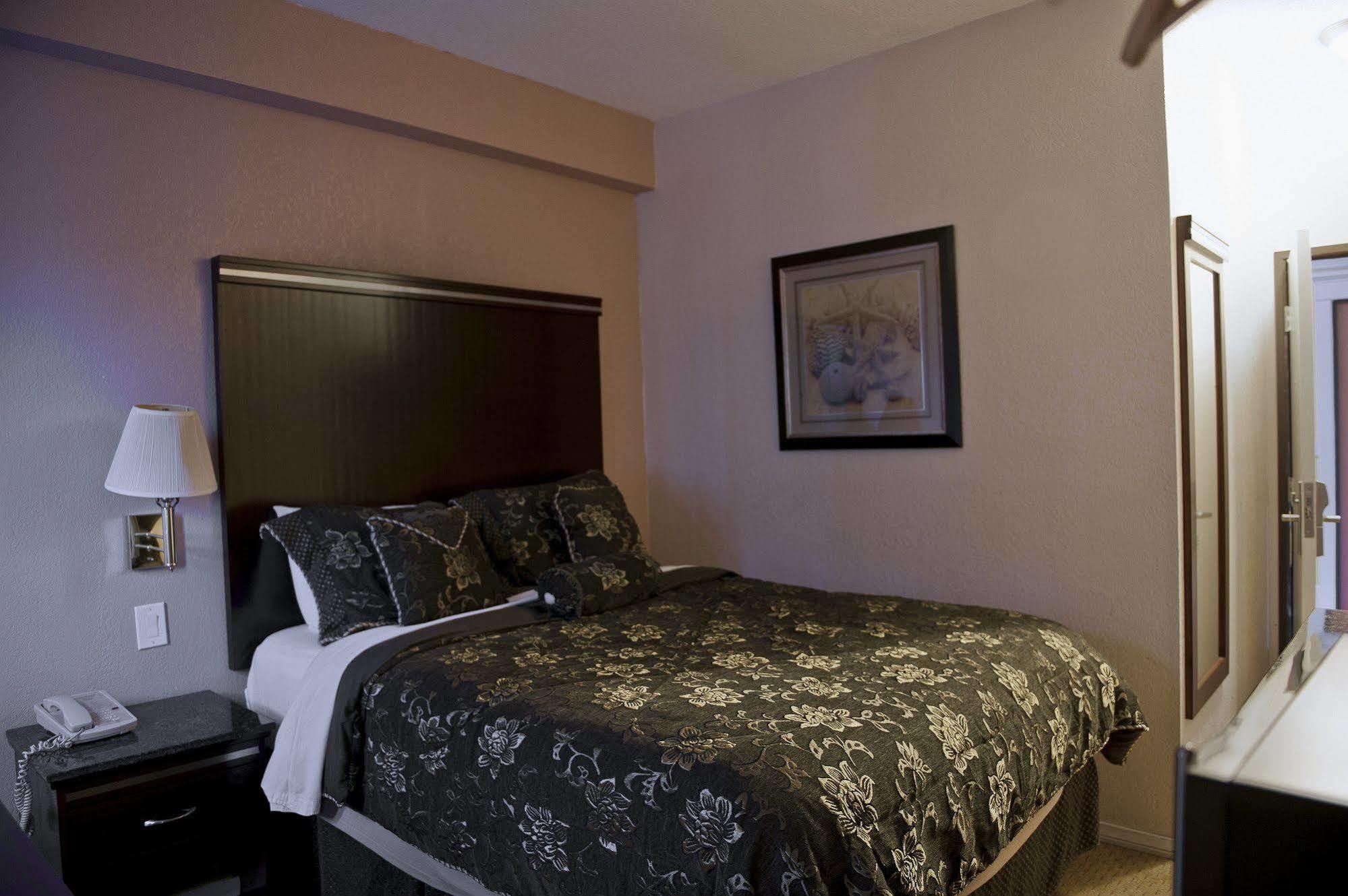 Harborview Inn & Suites-Convention Center-Airport-Gaslamp-Seaworld-Zoo-Balboa Park San Diego Esterno foto